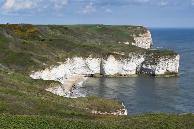 Around 200,000 seabirds return to nest on Flamborough Headland while migrant songbirds arrive back from Africa and Europe during the spring months.