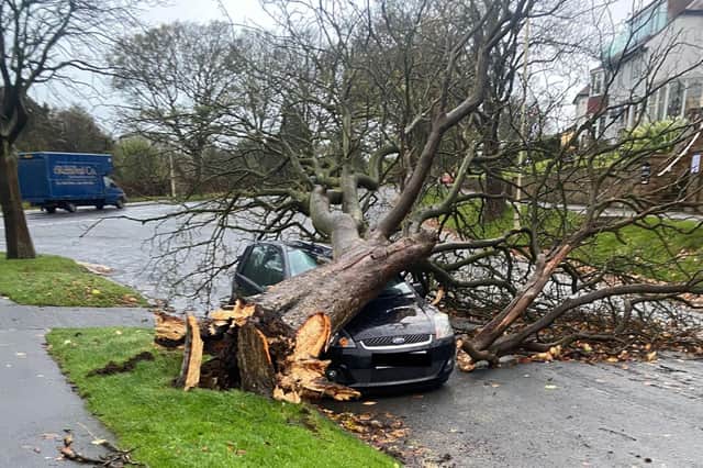 A number of trees were brought down in Scarborough during Storm Arwen in November last year. (Photo: Scarborough Council)