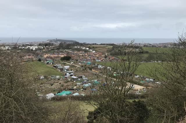 Demand for allotments in Scarborough is on the rise. Sandybed allotments, pictured above, are not maintained by Scarborough Council.