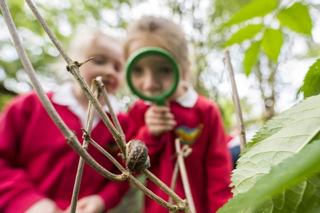 School children on a minibeast hunt. Photo: RSPB/Rosie Dutton