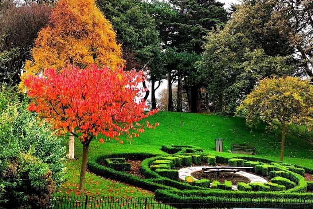 Whitby's Pannett Park.