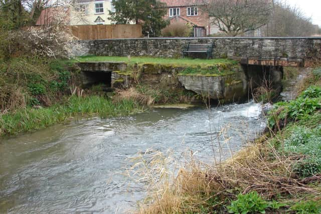 Pickering's Costa Beck.