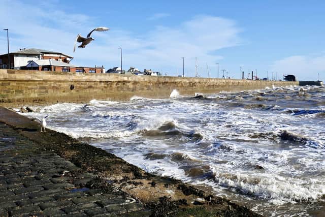 Aled Jones captures a regular winter scene in Bridlington, complete with gulls and choppy waves along the harbour wall.