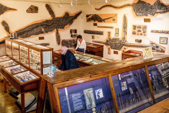 Visitors to Whitby Museum looking at the fossils.