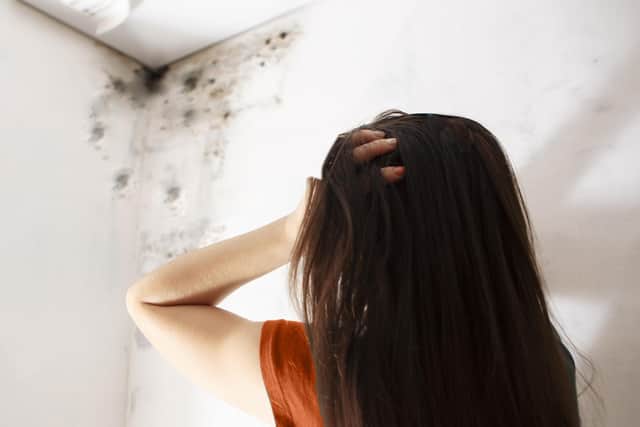 Get advice if you have problems with repairs. Photo: Adobe