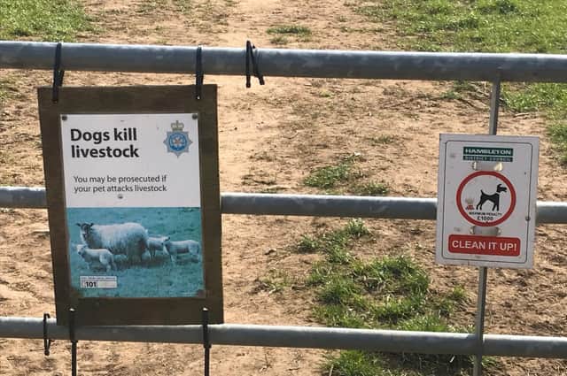 Sheep worrying warning signs.