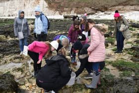 The Yorkshire Wildlife Trust hosts regular events from the Living Sea Centre at Flamborough's South Landing.