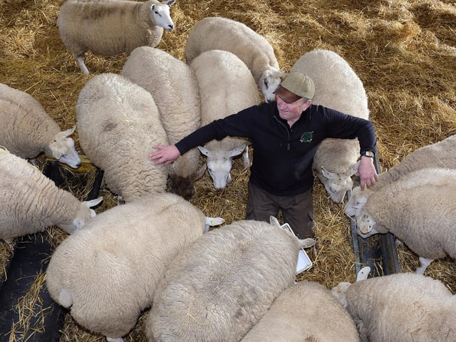 Farmer John Percy Warters feeding the sheep at his farm near Flixton.
Visitors can also meet Tilly the Shetland Pony and friendly pigs at The Hive, and the takeaway café bar is also open