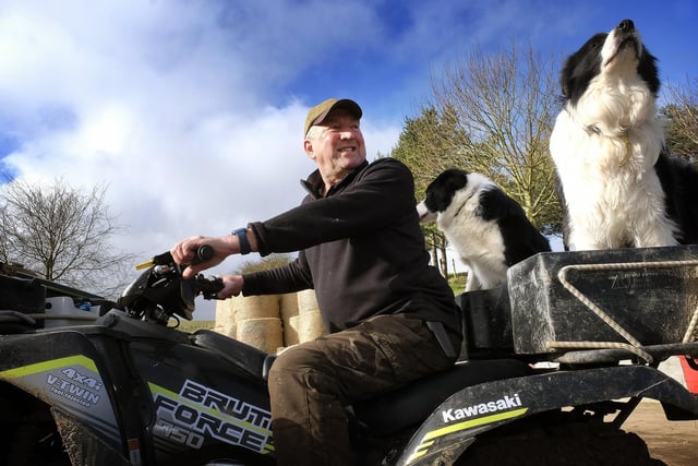 Farmer John Percy Warters working with his dogs.
There are lambing events at the farm on Sunday March 20 and Sunday March 27