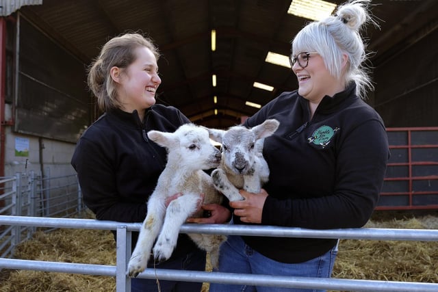 Young Farmers Evie Harrison and Alice Robinson...with the lambs