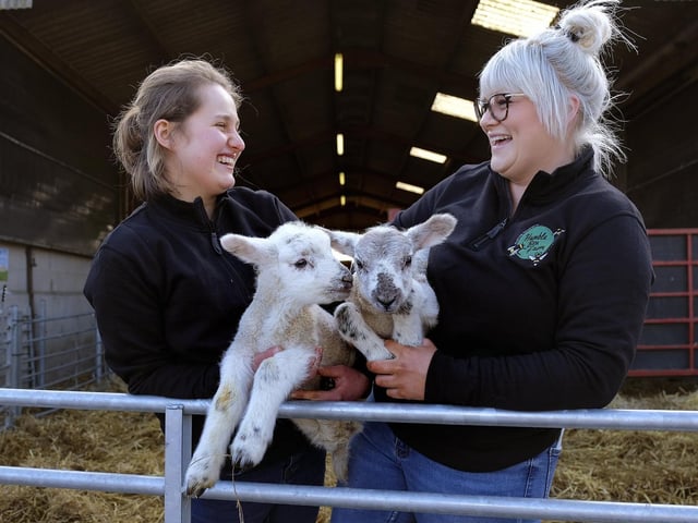 Young Farmers Evie Harrison and Alice Robinson...with the lambs