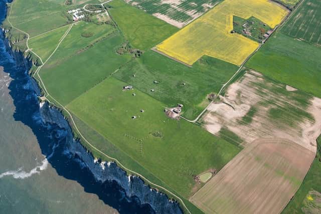 The modern day site at Bempton captured by Dave MacLeod/Historic England