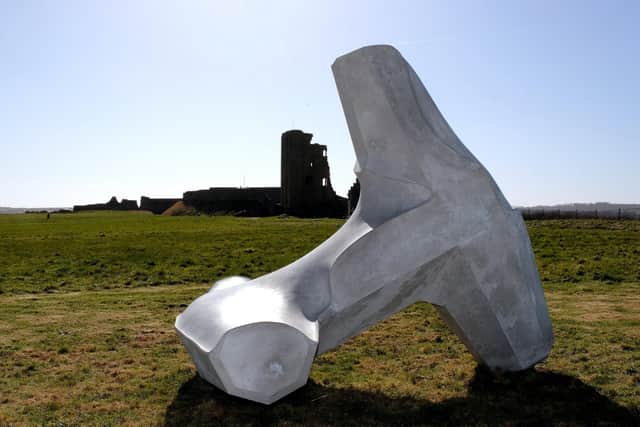 Invisible Dust and Yorkshire Wildlife unveil a new sculpture at Scarborough Castle by Ryan Gander. Pic: Richard Ponter
