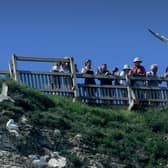 Between Friday, April 1 and Sunday, April 24 there’s the chance to take part in an egg-citing Easter activity trail around the RSPB Bempton Cliffs site. Picture by Simon Hulme