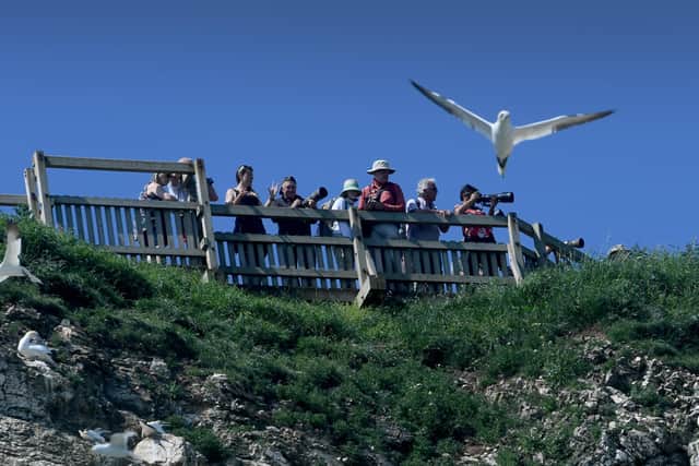 Between Friday, April 1 and Sunday, April 24 there’s the chance to take part in an egg-citing Easter activity trail around the RSPB Bempton Cliffs site. Picture by Simon Hulme