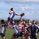 PHOTO FOCUS - 30 photos from Scarborough RUFC 31 Cleckheaton 34

Photos by Richard Ponter