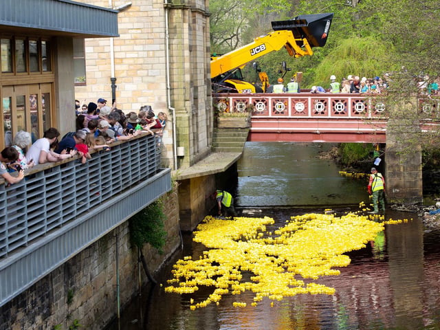 Each year hundreds of plastic, yellow toys are thrown into rivers and streams for duck races held across the county. Duckmania usually comes to Hebden Bridge on Easter Monday when the ducks – up to 10,000 – are all launched at the same time into the River Calder from St George’s Bridge. A similar duck racing event is also held in Ripon on Easter Sunday.