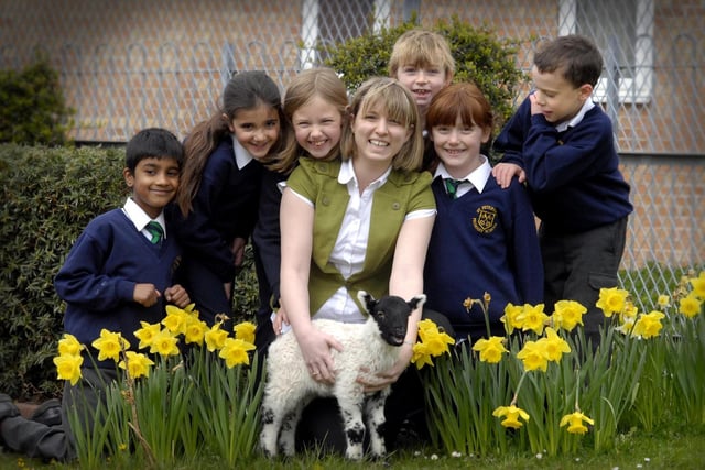St Peter's School teacher Sarah Agar brings Flo the lamb to school for her Year 3 class pupils to meet.
