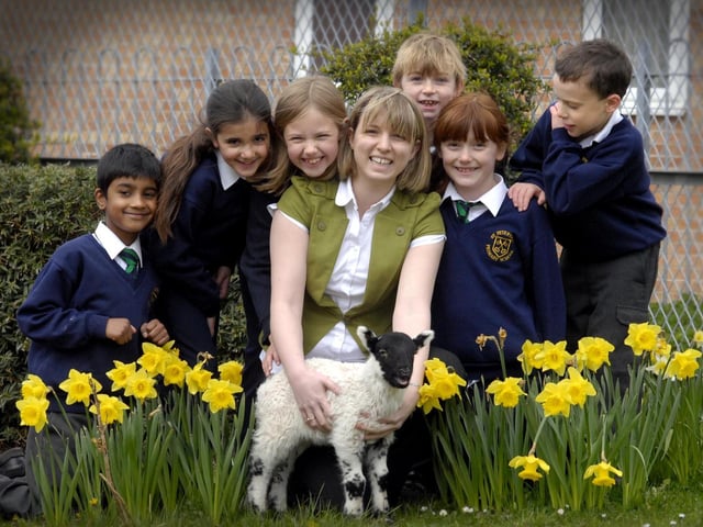 St Peter's School teacher Sarah Agar brings Flo the lamb to school for her Year 3 class pupils to meet.
