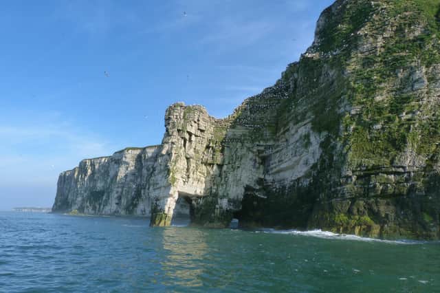 Wildlife along the Yorkshire Coast enthralls many residents and visitors. Photo submitted