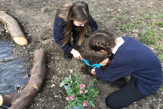 Children build a pond and plant trees at Our Lady and St Peter’s Catholic Primary School in Bridlington. Photo submitted