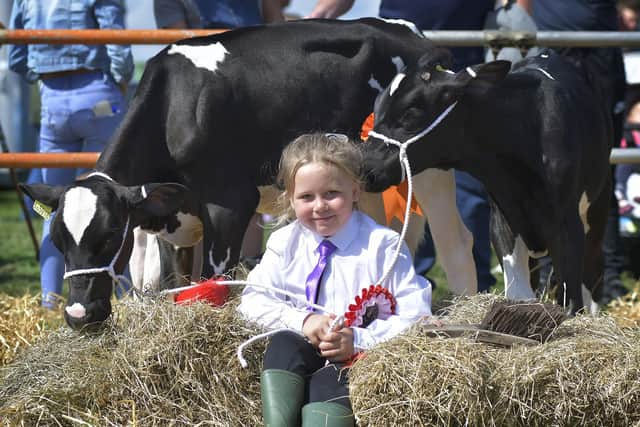 Evie Hunter with her prize-winning cows at Egton Show.