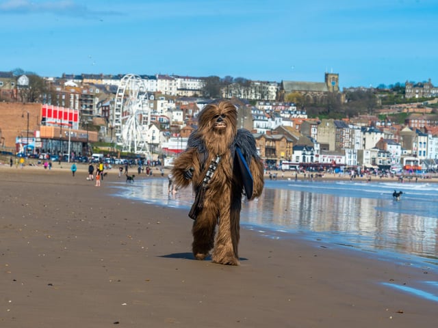 Chewbacca goes surfing to help raise money for Cancer Research UK.