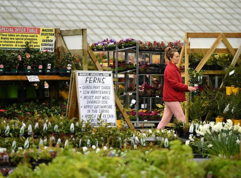 When Will Garden Centres Open On The Yorkshire Coast This Easter Weekend Scarborough News When Will Garden Centres Open On The, What Time Do Garden Centres Open On Sunday
