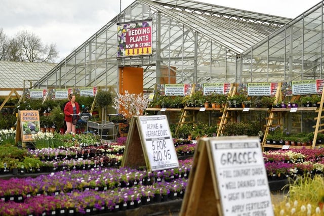 Reighton Nurseries will be open all Easter weekend, from 9am until 5.30pm.
Photos in this feature are illustrative, courtesy of Getty Images, and do not show the local garden centres.