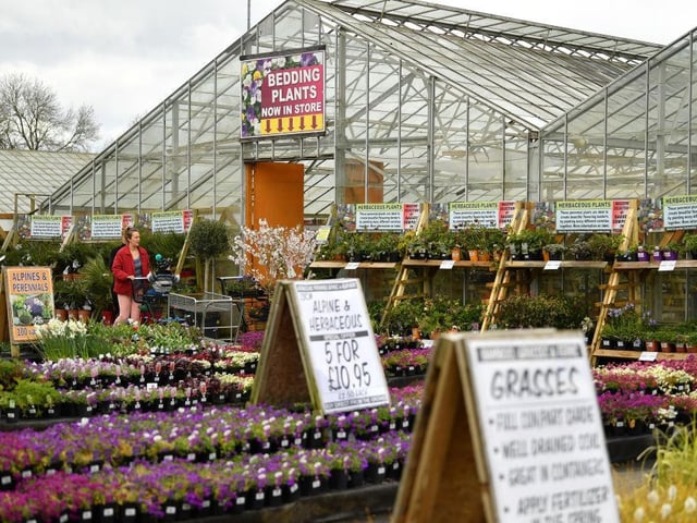 Reighton Nurseries will be open all Easter weekend, from 9am until 5.30pm.
Photos in this feature are illustrative, courtesy of Getty Images, and do not show the local garden centres.