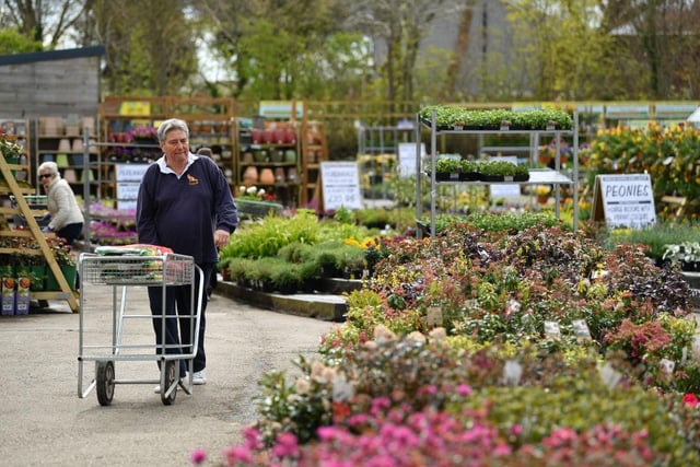 On Friday April 15 (Good Friday), Saturday April 16 and Monday April 18 (Easter Monday), the garden centre will be open from  8:30am to 5:00pm
On Sunday April 17 (Easter Sunday), they will be closed. 
Photos in this feature are illustrative, courtesy of Getty Images, and do not show the local garden centres.