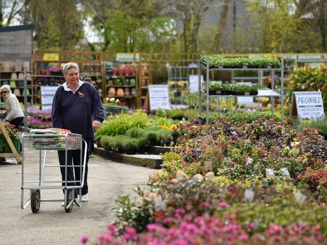 On Friday April 15 (Good Friday), Saturday April 16 and Monday April 18 (Easter Monday), the garden centre will be open from 8:30am to 5:00pm
On Sunday April 17 (Easter Sunday), they will be closed.
Photos in this feature are illustrative, courtesy of Getty Images, and do not show the local garden centres.
