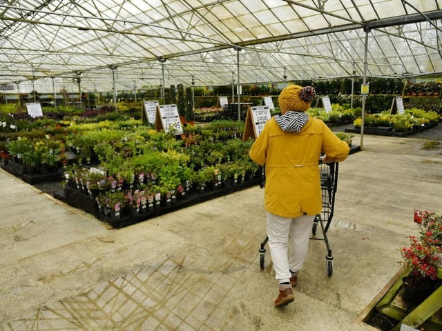 On Friday April 15 (Good Friday), Saturday April 16 and Monday April 18 (Easter Monday), Burniston Nurseries will be open from 9am until 5pm. 
On Sunday April 17 (Easter Sunday), they will be open from 10am until 4pm.
Photos in this feature are illustrative, courtesy of Getty Images, and do not show the local garden centres.
