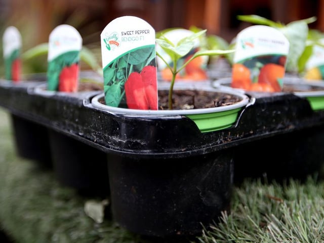 Metcalfe Plant Centre will be open every day of the Easter weekend, from 10am until 4pm.
Photos in this feature are illustrative, courtesy of Getty Images, and do not show the local garden centres.