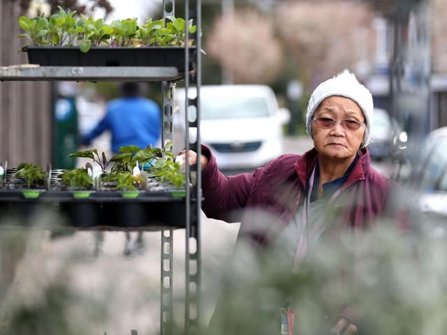 Perry’s Plants will be open every day of the Easter weekend, from 10am until 5pm.
Photos in this feature are illustrative, courtesy of Getty Images, and do not show the local garden centres.