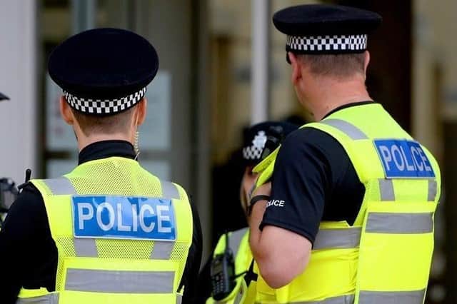 The men ran from the property after being scared off by a returning resident.