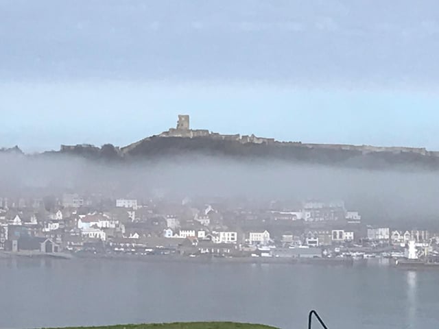 Serene picture capturing mist over the bay.