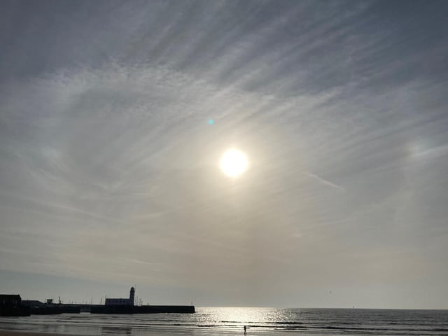 A walk in the sunshine.