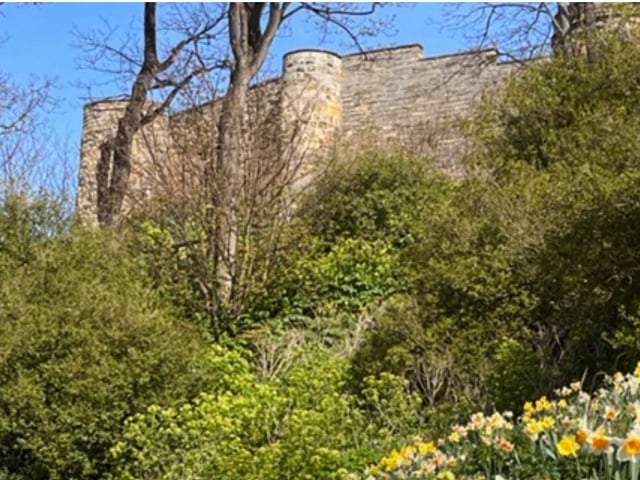 Spring blooms at the castle.