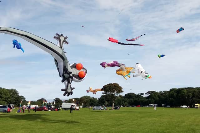 There will be two days of aerial displays over Sewerby Fields on Saturday, May 21 and Sunday, May 22.