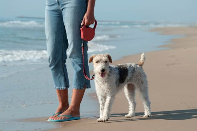 The exclusion on dogs using certain areas of East Riding beaches lasts just for the summer season. Photo submitted