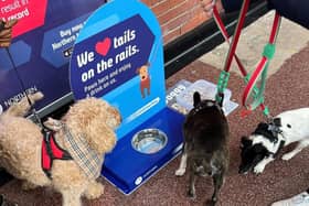 The operator’s new dog watering stations are available across 138 staffed stations, including at Bridlington and Whitby, to keep furry friends hydrated when they are on the go.