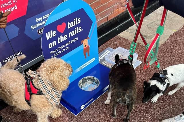 The operator’s new dog watering stations are available across 138 staffed stations, including at Bridlington and Whitby, to keep furry friends hydrated when they are on the go.