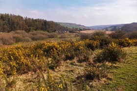 Looking towards Commondale, near Whitby.