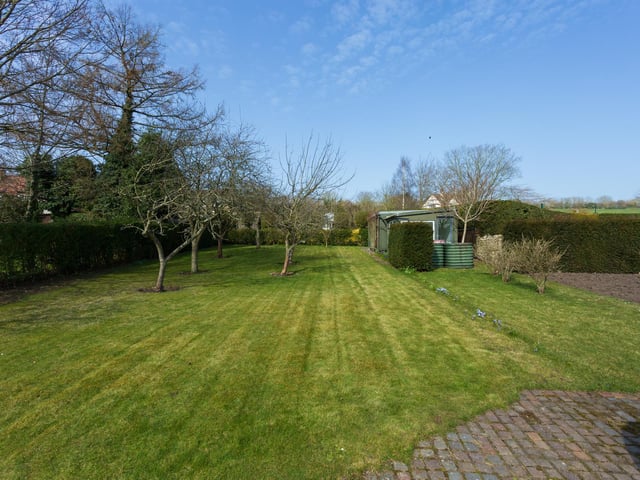 Patio area leading to an expanse of lawn with trees.