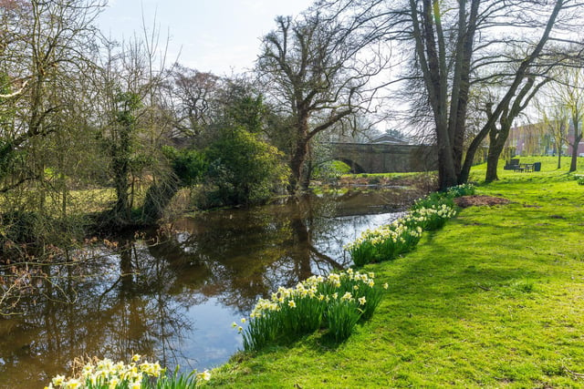 Spring scene within the village of West Ayton