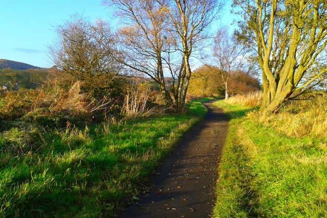 Part of the Whitby to Scarborough Cinder Track, pictured here at Cloughton.