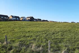 The field off Whitby's Green Lane which will see 62 new homes built, after a Government inspector granted the scheme on appeal.