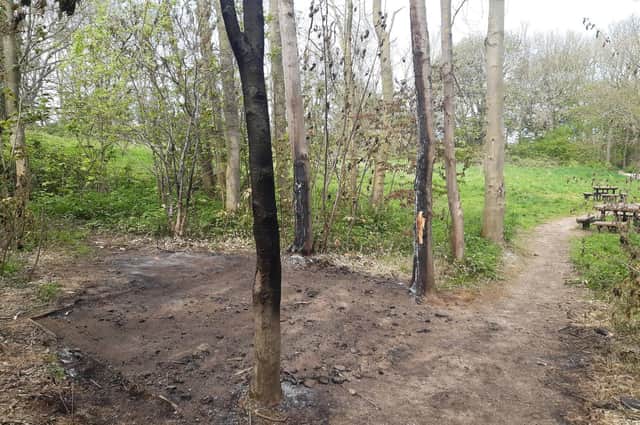 The area where the picnic bench stood.