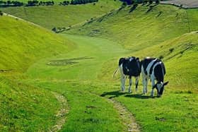 To help celebrate the 40th anniversary of the Yorkshire Wolds Way, there will be a walk along part of this iconic route on